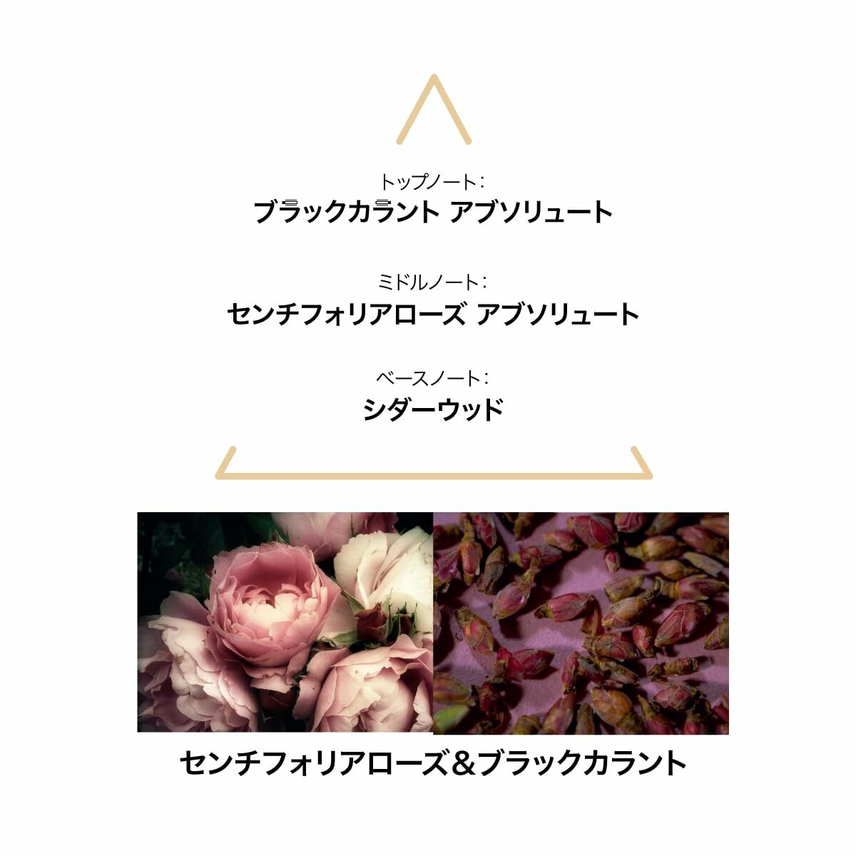 V3H6BAF357736799CF6EABD7B0C6214CA6FR6154448P3