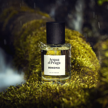 V7HB23D9708805A26D046CEF2643C3E02A4R3708211P2